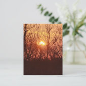 Sonnenuntergang hinter den Bäumen Postkarte (Stehend Vorderseite)