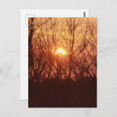 Sonnenuntergang hinter den Bäumen Postkarte (Vorne/Hinten)