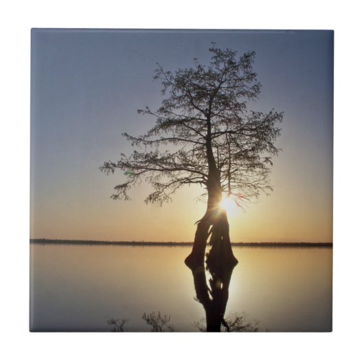Sonnenuntergang hinter einem Baum Fliese (Vorderseite)