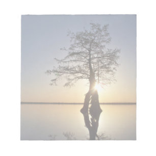 Sonnenuntergang hinter einem Baum Notizblock