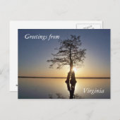 Sonnenuntergang hinter einem Baum Postkarte (Vorne/Hinten)