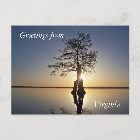 Sonnenuntergang hinter einem Baum Postkarte (Vorderseite)