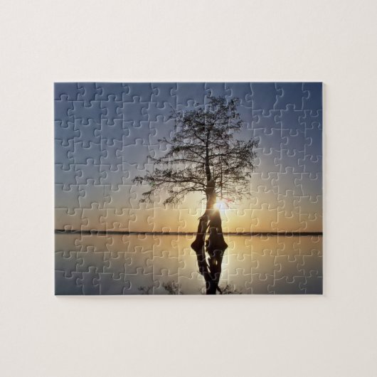 Sonnenuntergang hinter einem Baum Puzzle (Horizontal)