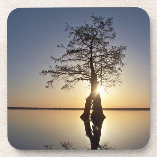 Sonnenuntergang hinter einem Baum Untersetzer (Vorderseite)