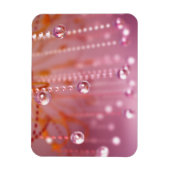 Sonnenuntergang im kristallklaren, flexiblen Magne Magnet (Vertikal)