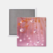 Sonnenuntergang im Kristallmagnet Magnet (Vorderseite/Rückseite)