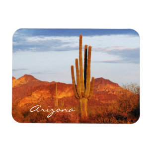 Sonnenuntergang im Osttal Arizona Magnet