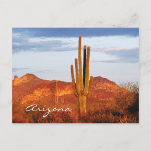 Sonnenuntergang im Osttal, Arizona Postkarte