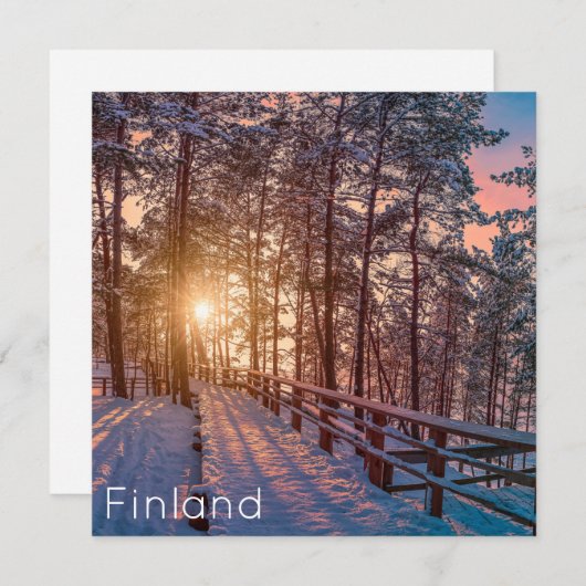 Sonnenuntergang im schneebedeckten Pinienwald mit  (Vorne/Hinten)