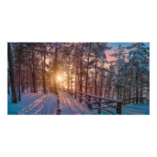 Sonnenuntergang im schneebedeckten Pinienwald mit  Fotodruck