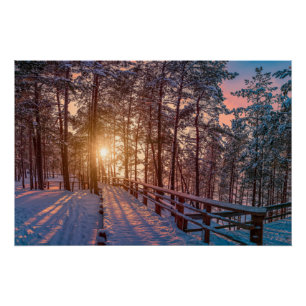 Sonnenuntergang im schneebedeckten Pinienwald mit  Poster