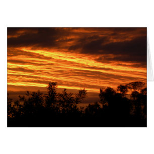 Sonnenuntergang im Sommer in Canberra