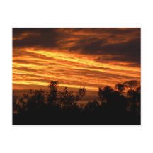 Sonnenuntergang im Sommer in Canberra