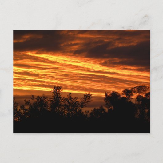 Sonnenuntergang im Sommer in Canberra Postkarte (Vorderseite)