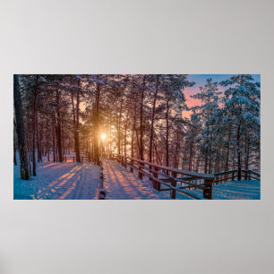 Sonnenuntergang im verschneiten Pinienwald mit Son Poster