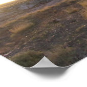 Sonnenuntergang im versteinerten Wald Poster (Ecke)