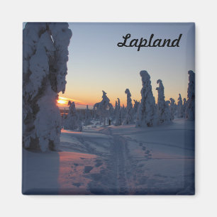 Sonnenuntergang im Wald in Lappland Magnet