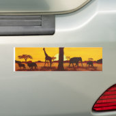 Sonnenuntergang in Afrika Autoaufkleber (Auf Auto)