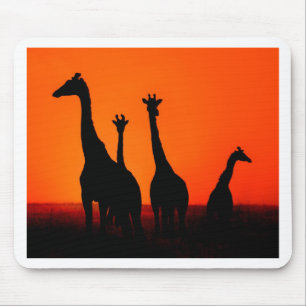 Sonnenuntergang in Afrika Mousepad