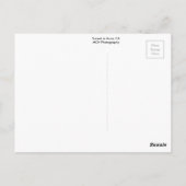 Sonnenuntergang in Anza, CA Postkarte (Rückseite)