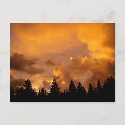 Sonnenuntergang in den Sierras - Postkarte (Vorderseite)