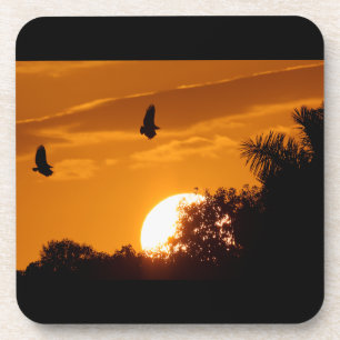 Sonnenuntergang in den Sumpfgebieten Untersetzer