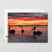 Sonnenuntergang in der Monkey Mia Postkarte (Vorne/Hinten)