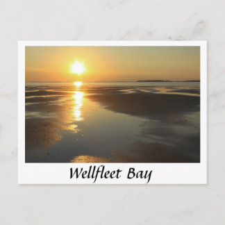 Sonnenuntergang in der Wellfleet Bay Postkarte