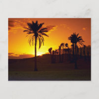 Sonnenuntergang in der Wüste, Die Sahara, Tunesien