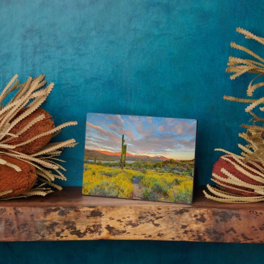 Sonnenuntergang in der Wüstenlandschaft Fotoplatte (Seite)