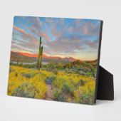 Sonnenuntergang in der Wüstenlandschaft Fotoplatte (Seite)