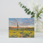 Sonnenuntergang in der Wüstenlandschaft Postkarte (Stehend Vorderseite)