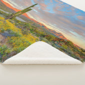 Sonnenuntergang in der Wüstenlandschaft Sherpadecke (3/4)