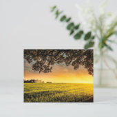 Sonnenuntergang in einer ländlichen Landschaft Postkarte (Stehend Vorderseite)