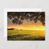 Sonnenuntergang in einer ländlichen Landschaft Postkarte (Vorne/Hinten)