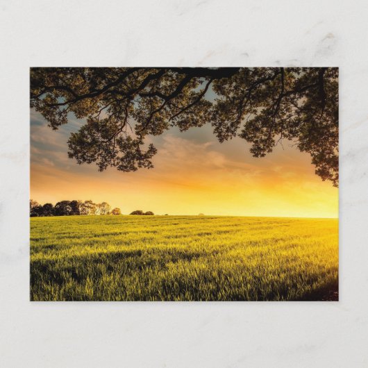 Sonnenuntergang in einer ländlichen Landschaft Postkarte (Vorderseite)