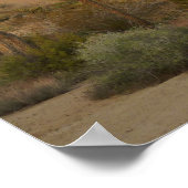 Sonnenuntergang in Joshua Tree Poster (Ecke)