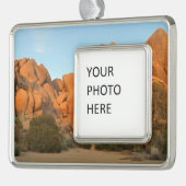 Sonnenuntergang in Joshua Tree Rahmen-Ornament Silber (Links)