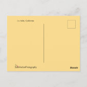 Sonnenuntergang in Kalifornien mit Palmen Postkarte (Rückseite)