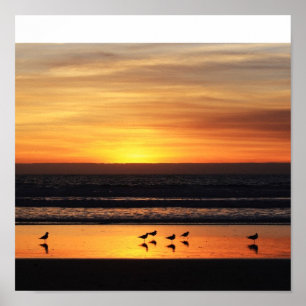 Sonnenuntergang in Kalifornien Poster