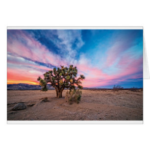 Sonnenuntergang in Mojave