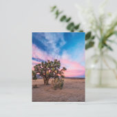 Sonnenuntergang in Mojave Postkarte (Stehend Vorderseite)
