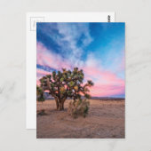 Sonnenuntergang in Mojave Postkarte (Vorne/Hinten)