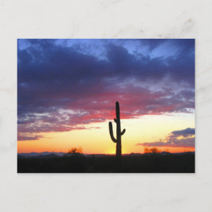 Sonnenuntergang in Phoenix Arizona Postkarte