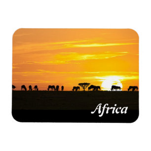 Sonnenuntergang in Serengeti Magnet