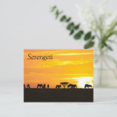 Sonnenuntergang in Serengeti Postkarte (Stehend Vorderseite)