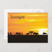 Sonnenuntergang in Serengeti Postkarte (Vorne/Hinten)