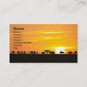 Sonnenuntergang in Serengeti Visitenkarte