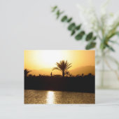 Sonnenuntergang in Sharm el Sheikh, Ägypten Postkarte (Stehend Vorderseite)