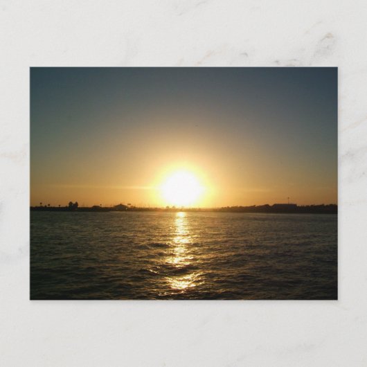 Sonnenuntergang in Tampa florida Postkarte (Vorderseite)